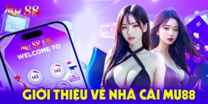 Giới Thiệu Mu88 - Nhà Cái Cá Cược Chất Lượng Nhất Năm 2024